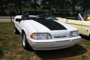 MUSTANG